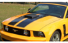 2005-09 Mustang Dual Hood Stripe with Pinstripes Decal Kit
